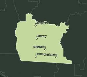 Area Code 229 geographic coverage map