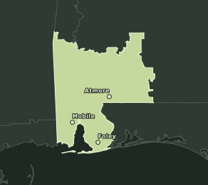 Area Code 251 geographic coverage map