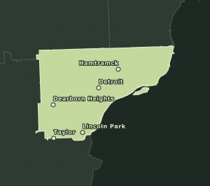 Area Code 313 geographic coverage map