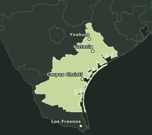 Area Code 361 geographic coverage map