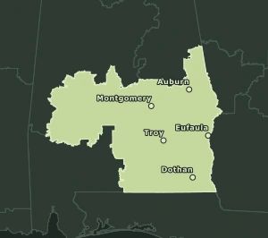 Area Code 483 geographic coverage map