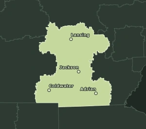 Area Code 517 geographic coverage map