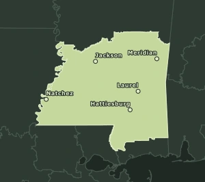 Area Code 769 geographic coverage map