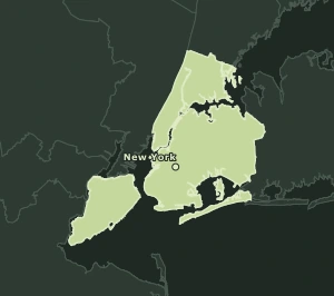 Area Code 917 geographic coverage map