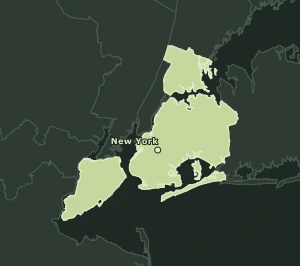 Area Code 929 geographic coverage map