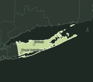 Area Code 934 geographic coverage map