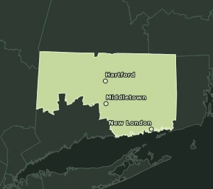 Area Code 959 geographic coverage map