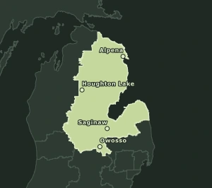 Area Code 989 geographic coverage map