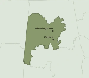 Area Code 205 geographic coverage map