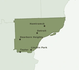 Area Code 313 geographic coverage map