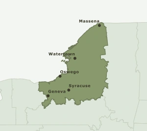 Area Code 315 geographic coverage map