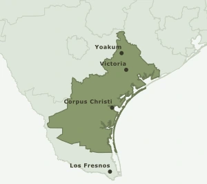 Area Code 361 geographic coverage map