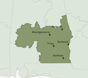 Area Code 483 geographic coverage map