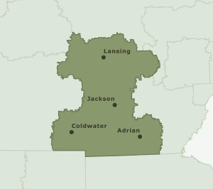 Area Code 517 geographic coverage map