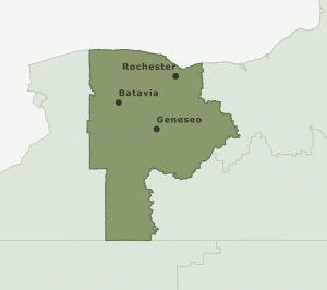 Area Code 585 geographic coverage map