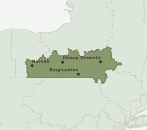 Area Code 607 geographic coverage map