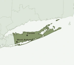 Area Code 631 geographic coverage map
