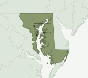 Area Code 667 geographic coverage map