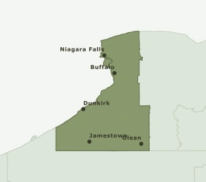 Area Code 716 geographic coverage map