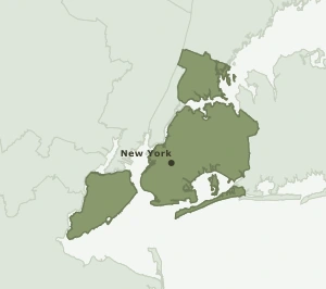 Area Code 718 geographic coverage map