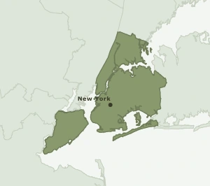 Area Code 917 geographic coverage map