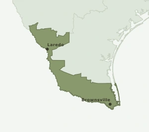 Area Code 956 geographic coverage map