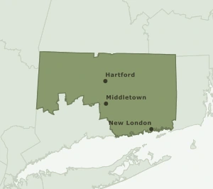 Area Code 959 geographic coverage map