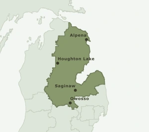 Area Code 989 geographic coverage map